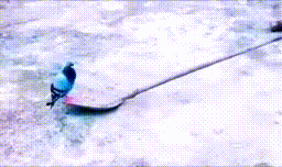 pigeon rocking on a shovel