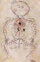 early anatomical drawing previous to autopsy